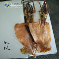 dried squid no salt illex squid